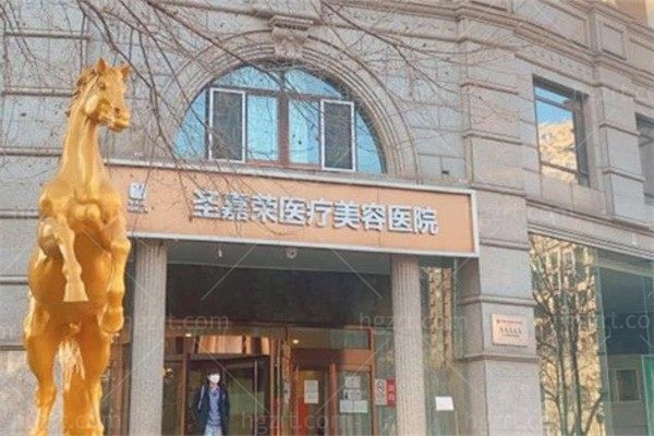 北京圣嘉荣和北京圣嘉新是一家医院吗