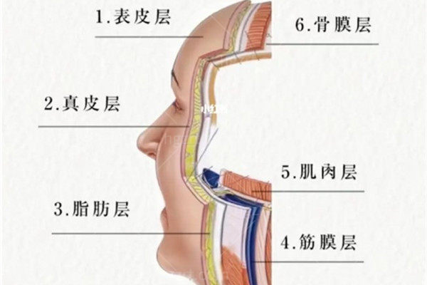 杨大平医生做面部提升的技术优势有哪些