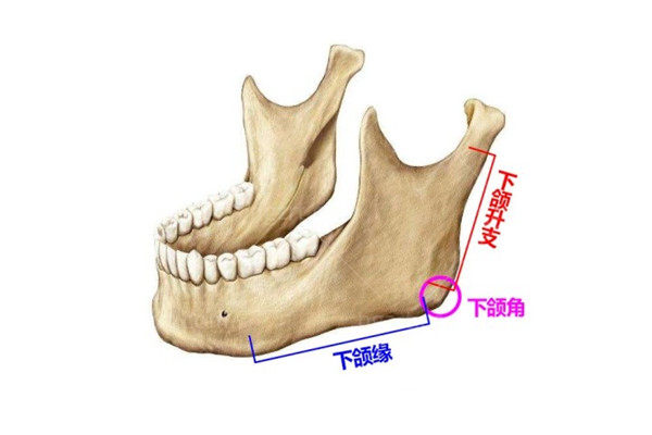 艺星整形医院价目表 艺星整形医院价目表