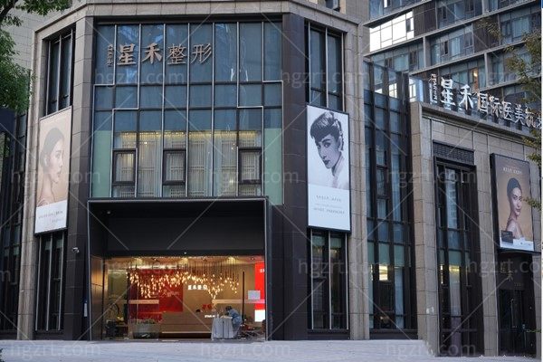 武汉星禾整形绿地总院大楼