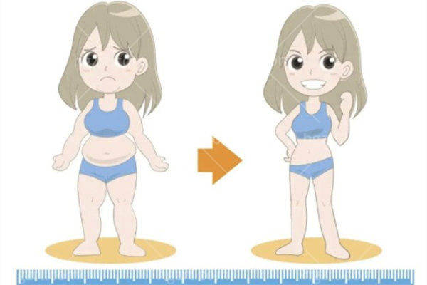 不同部位价格明细