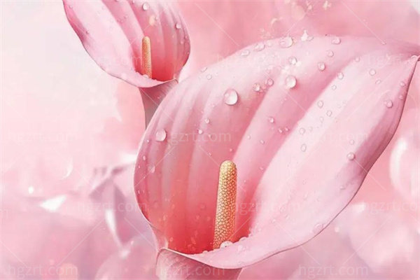 珠海做八爪鱼紧缩术要多少钱?价格约8千起选雅媛/新颜/科思美等技术排前五 珠海做八爪鱼紧缩术要多少钱?价格约8千起选雅媛/新颜/科思美等技术排前五