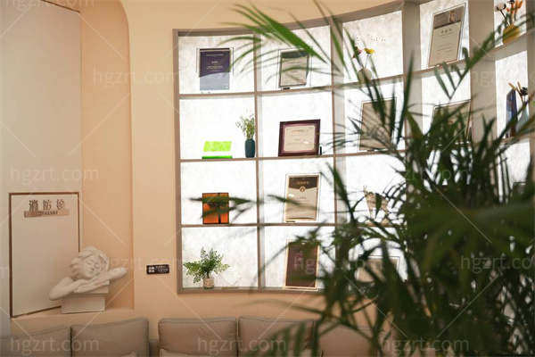 郑东蔚莱医疗美容荣誉