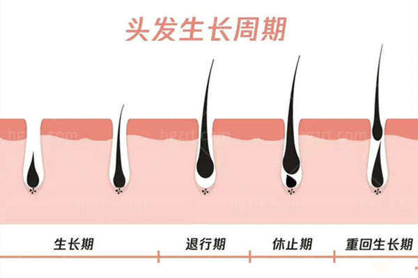 2026广州曙光植发医院价格表 发际线/头顶加密/眉毛种植都包含