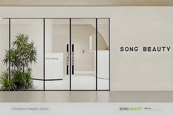 深圳颂美诊所价格表