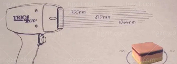 韩国钛提升价格表