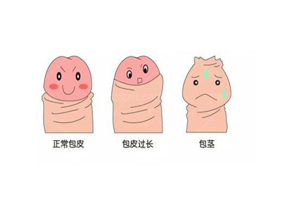 什么样的人适合黄金自生原液增粗