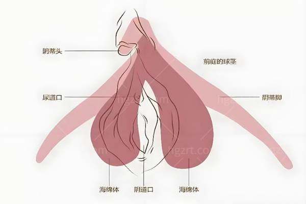 青岛私密整形医院排名前五：诺德、壹美天成等多家医院隐私性强技术好