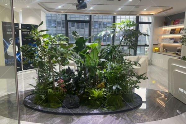 宁波鄞州舒禾医疗美容诊所怎么样
