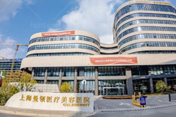 上海曼领医疗美容医院医生怎么选？胸部、脂肪、鼻眼、注射和皮肤项目分工整理