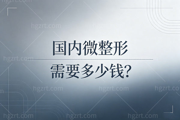 2026年国内微整形需要多少钱？玻尿酸全新报价+北京三仁武汉中翰等口碑机构优势解析