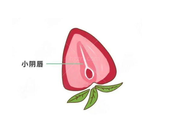 南昌华儿山医院私密技术咋样？激光紧致、产后轻度松弛和费用边界先弄清