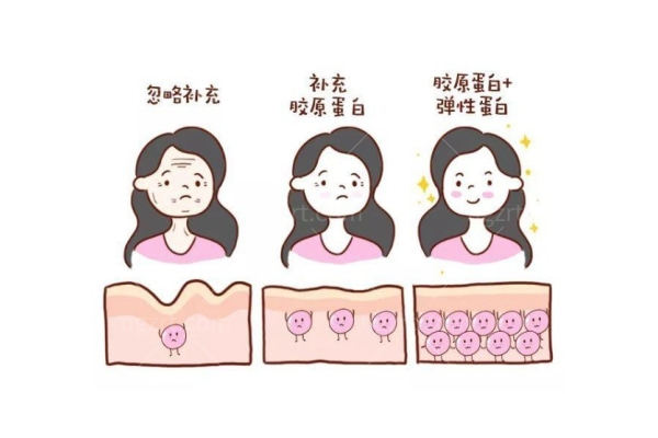胶原蛋白 (1).jpg